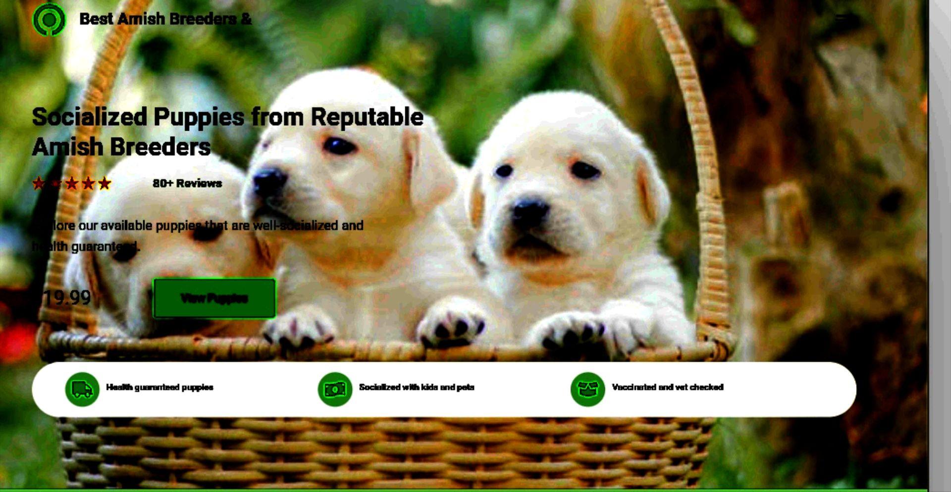 Puppies for sale, puppy classifieds,  breeders list puppies 