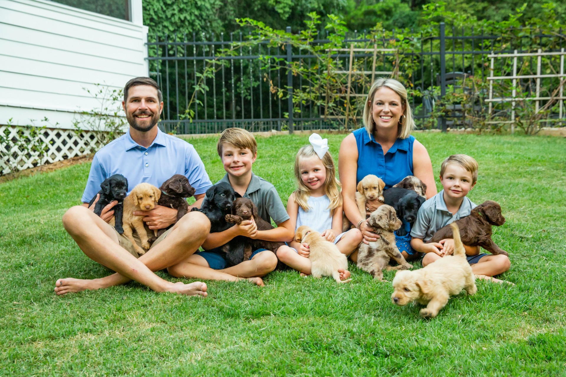 family of five holding a litter of twelve new labradoodle puppies while sitting on the grass in the yard